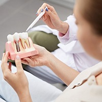 dentist showing a patient a dental implant model 